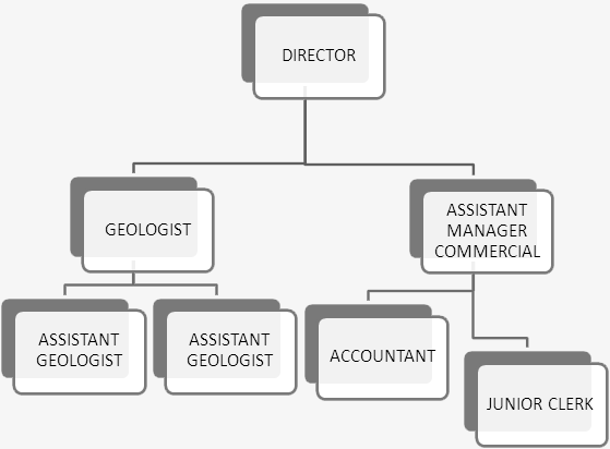 Organogram